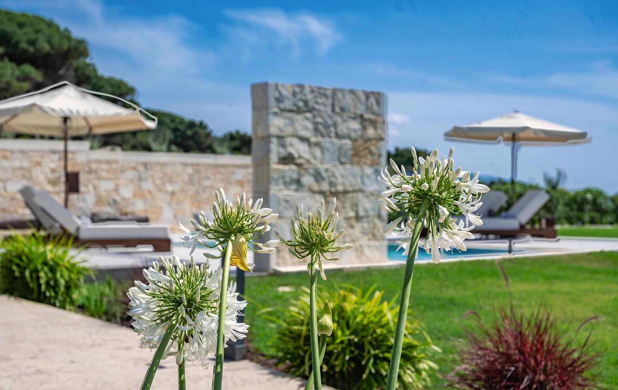 Theluxuryvillas Preveza Eksteriør bilde